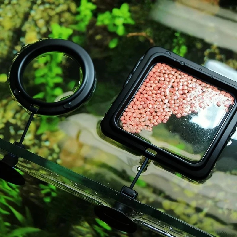 Aquarium Fish Escape - 1/3pcs Aquarium Fish Feeding Ring Fish