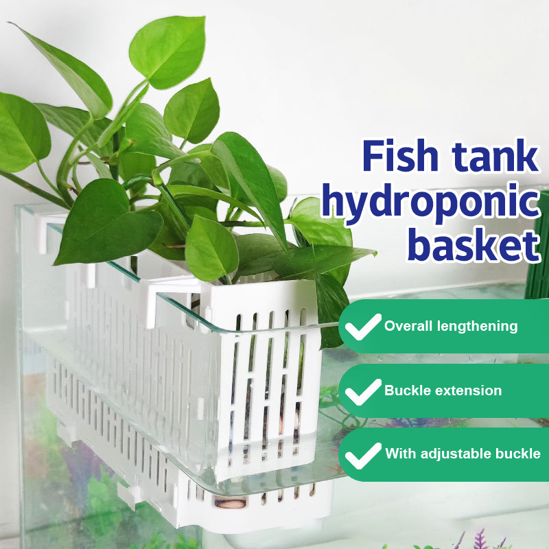 Aquarium Fish Types - 【F】Fish Tank Hanging Planter Aquatic Plant