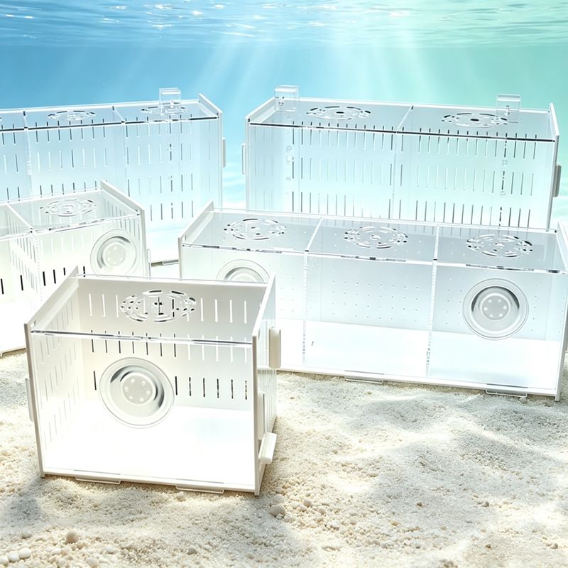 Isolation Fish Tank Separator  - Aquarium Fish Parrot ulasan dan harga