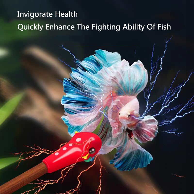 Aquarium Betta Training Wand W - Aquarium Fish For Beginners ulasan dan harga
