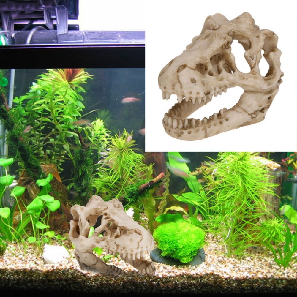 Creative Simulation Dinosaur S - Aquarium Fish Escape ulasan dan harga