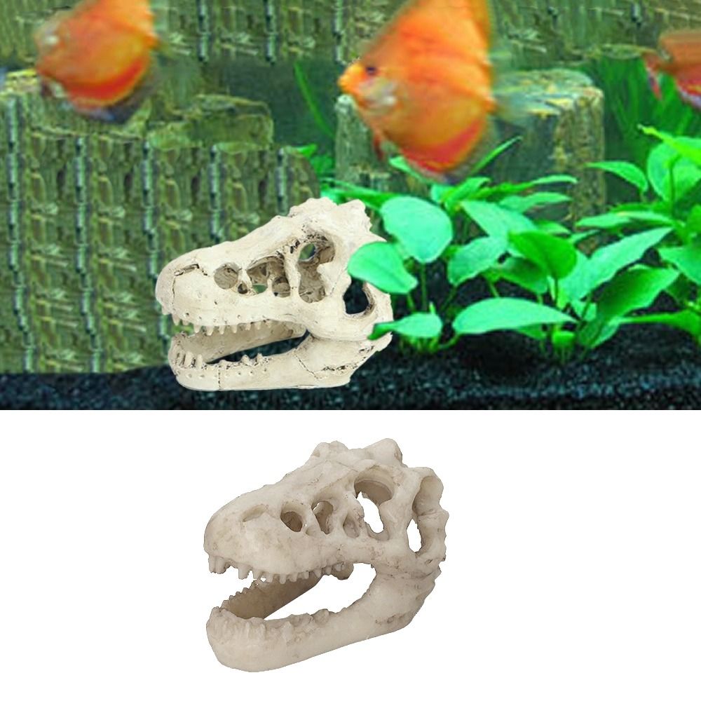 Creative Simulation Dinosaur S - Aquarium Fish Escape ulasan dan harga