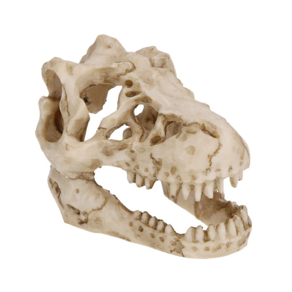 Creative Simulation Dinosaur S - Aquarium Fish Escape ulasan dan harga