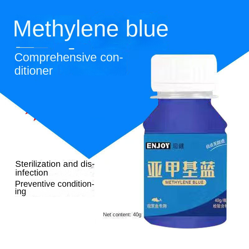 Methylene Blue Ornamental Fish - Aquarium Fish Parrot ulasan dan harga