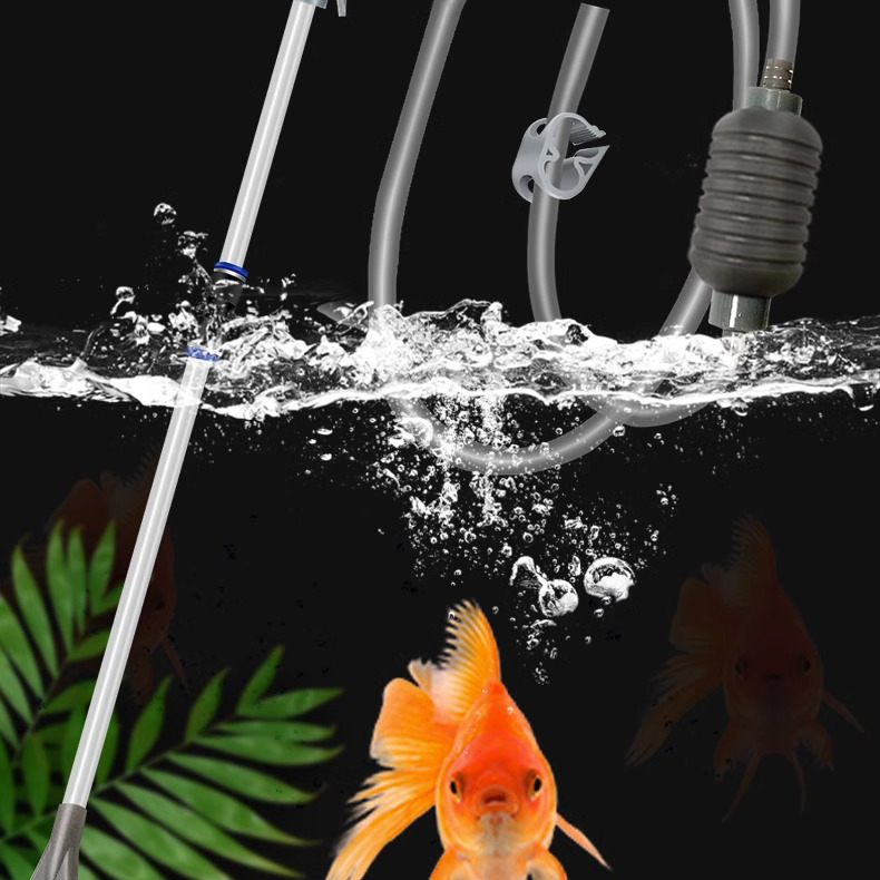 Large Fish Tank Aquarium Sipho - Aquarium Fish Youtube ulasan dan harga