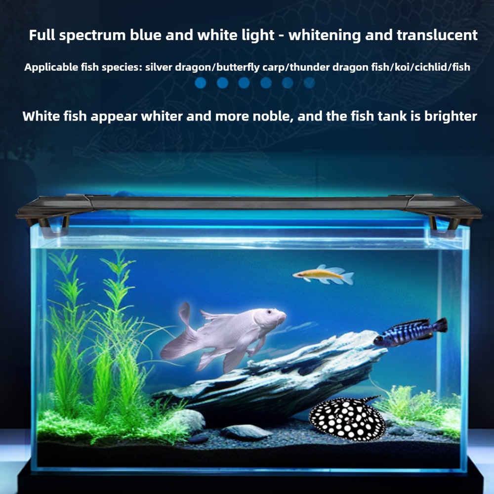 Aquarium LED Light Bar 2ft/3ft - Aquarium Fish Parrot ulasan dan harga