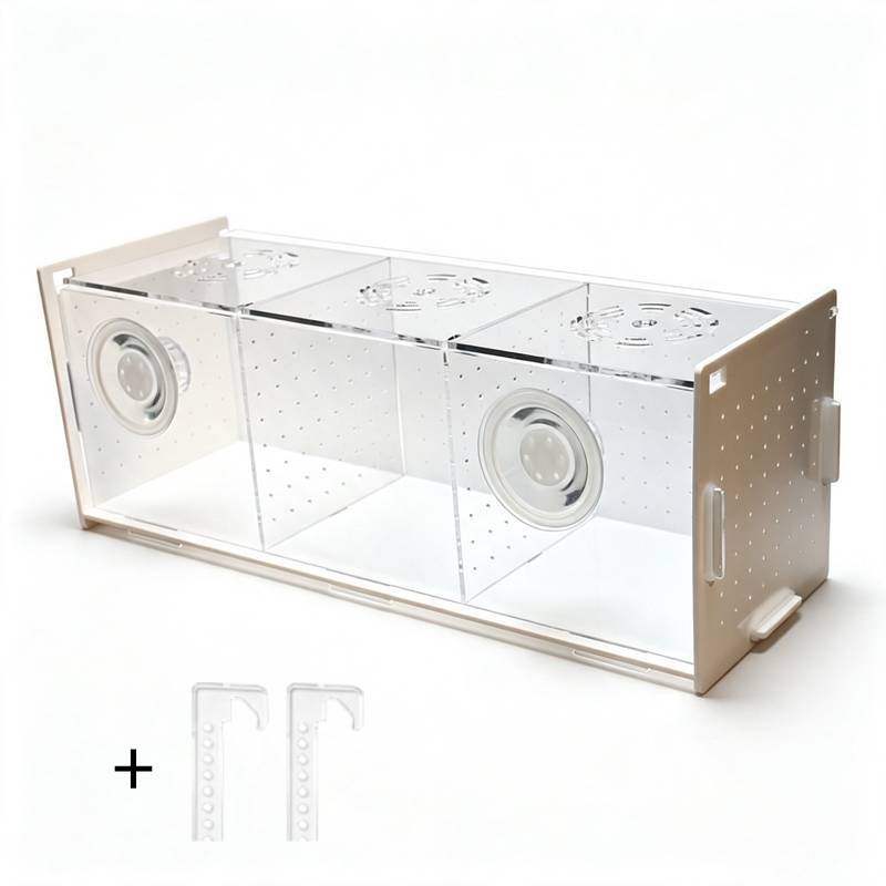 Multifunctional Aquarium Fish  - Aquarium Fish Parrot ulasan dan harga