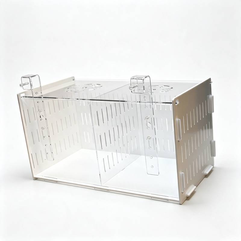 Multifunctional Aquarium Fish  - Aquarium Fish Parrot ulasan dan harga