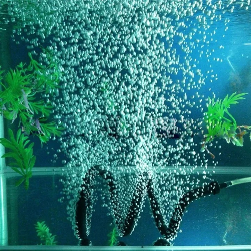 Fish Tank Bubble Bar Rubber La - Aquarium Fish Youtube ulasan dan harga