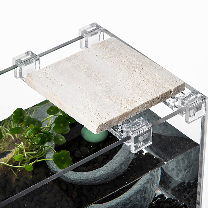 4Pcs Fish Tank Acrylic Clips f - Aquarium Fish Elevator ulasan dan harga