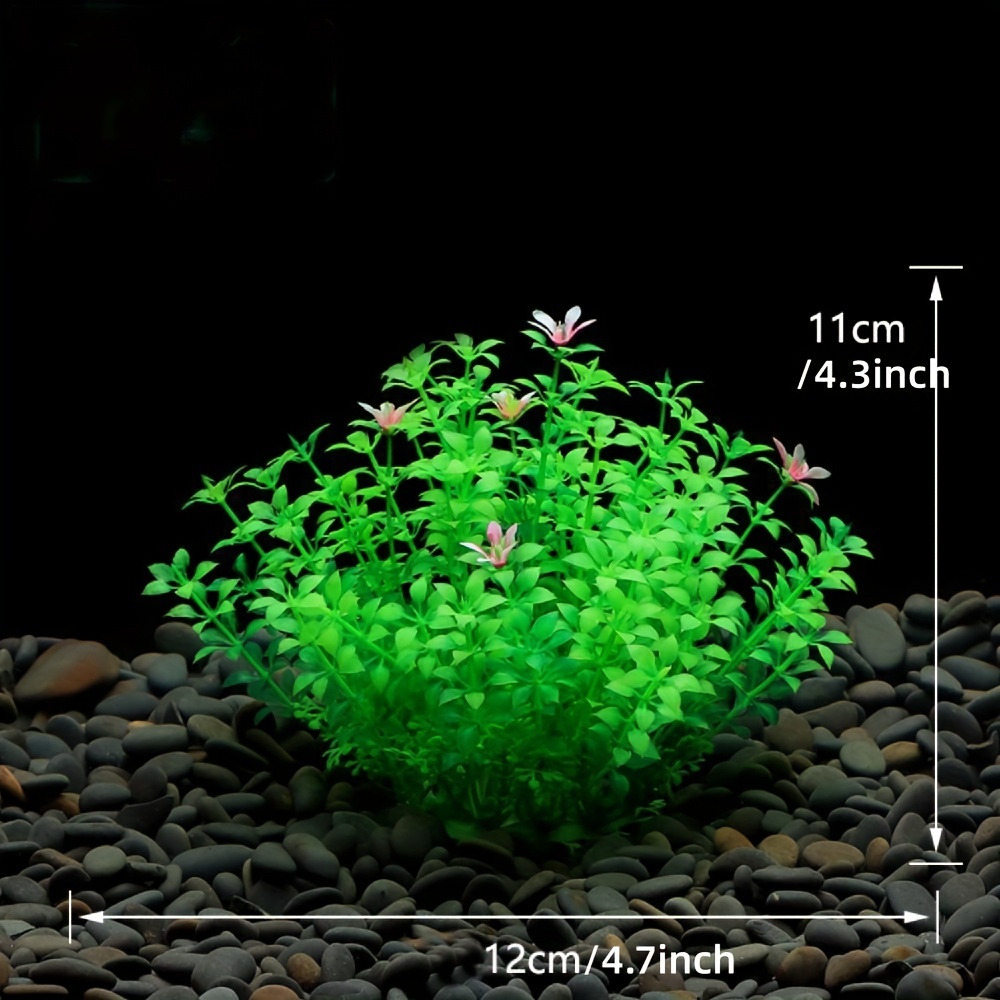Aquarium Fish Tank Decoration  - Aquarium Fish Only ulasan dan harga