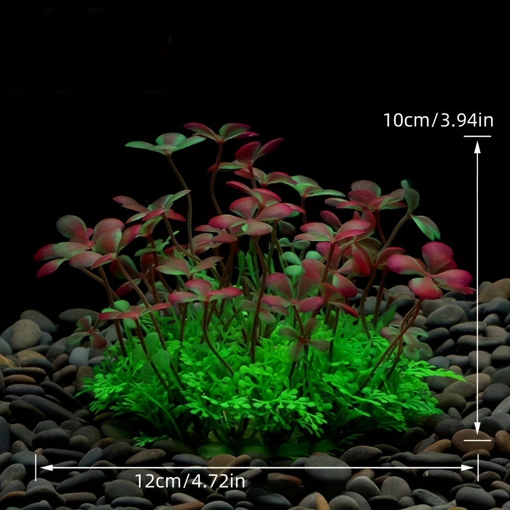 Aquarium Fish Tank Decoration  - Aquarium Fish Only ulasan dan harga