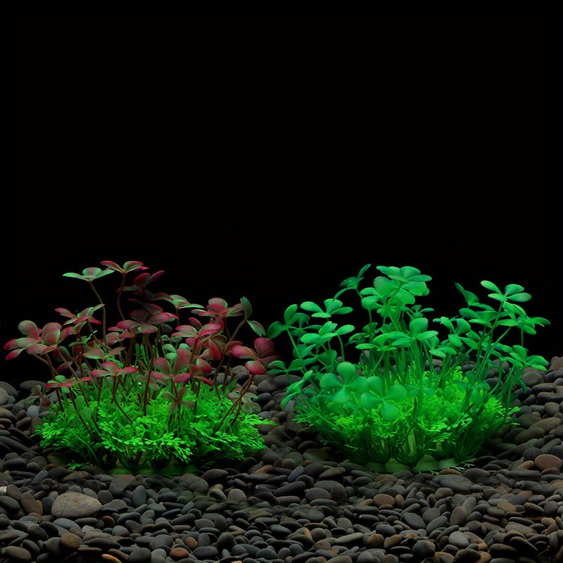 Aquarium Fish Tank Decoration  - Aquarium Fish Only ulasan dan harga