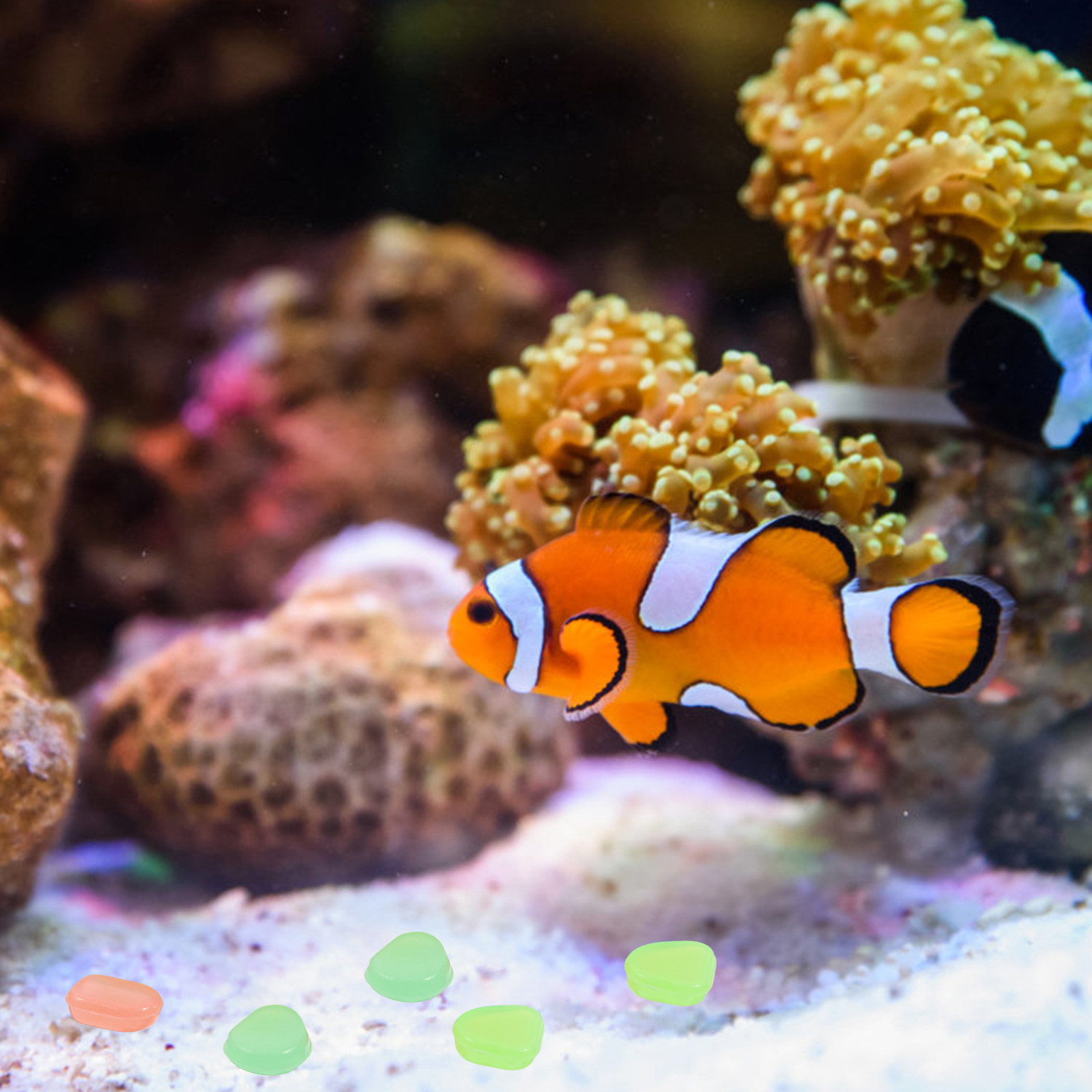 400Pcs Glow in The Dark Pebble - Aquarium Fish Glow In The Dark ulasan dan harga