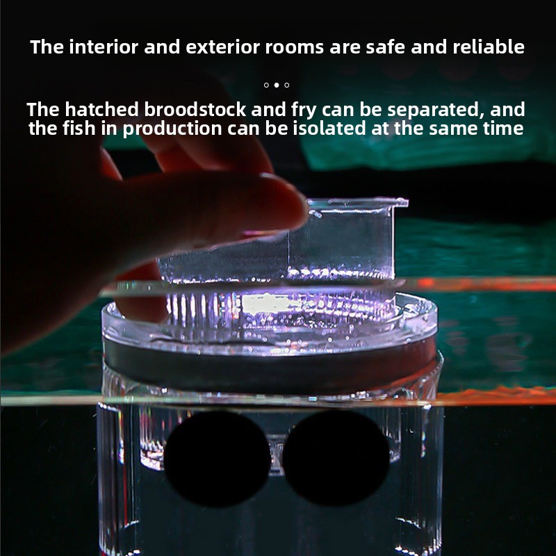Acrylic Breeding Box Aquarium  - Aquarium Fish Parrot ulasan dan harga