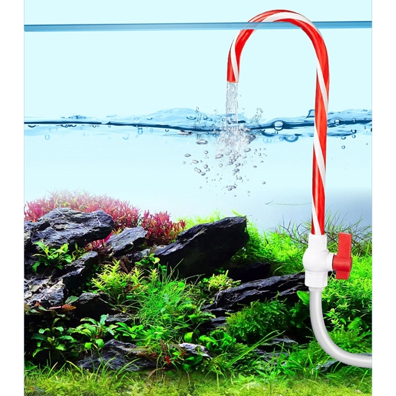  Compacts Fish Tanks Watering  - Aquarium Fish Youtube ulasan dan harga