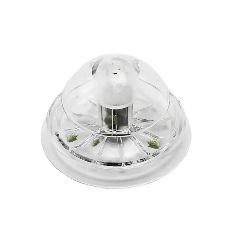 2026 New 6/8CM Clear Plastic S - Aquarium Fish Escape ulasan dan harga