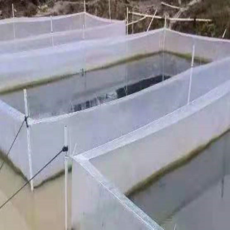 White Anti Escape net Cage eel - Aquarium Fish Escape ulasan dan harga