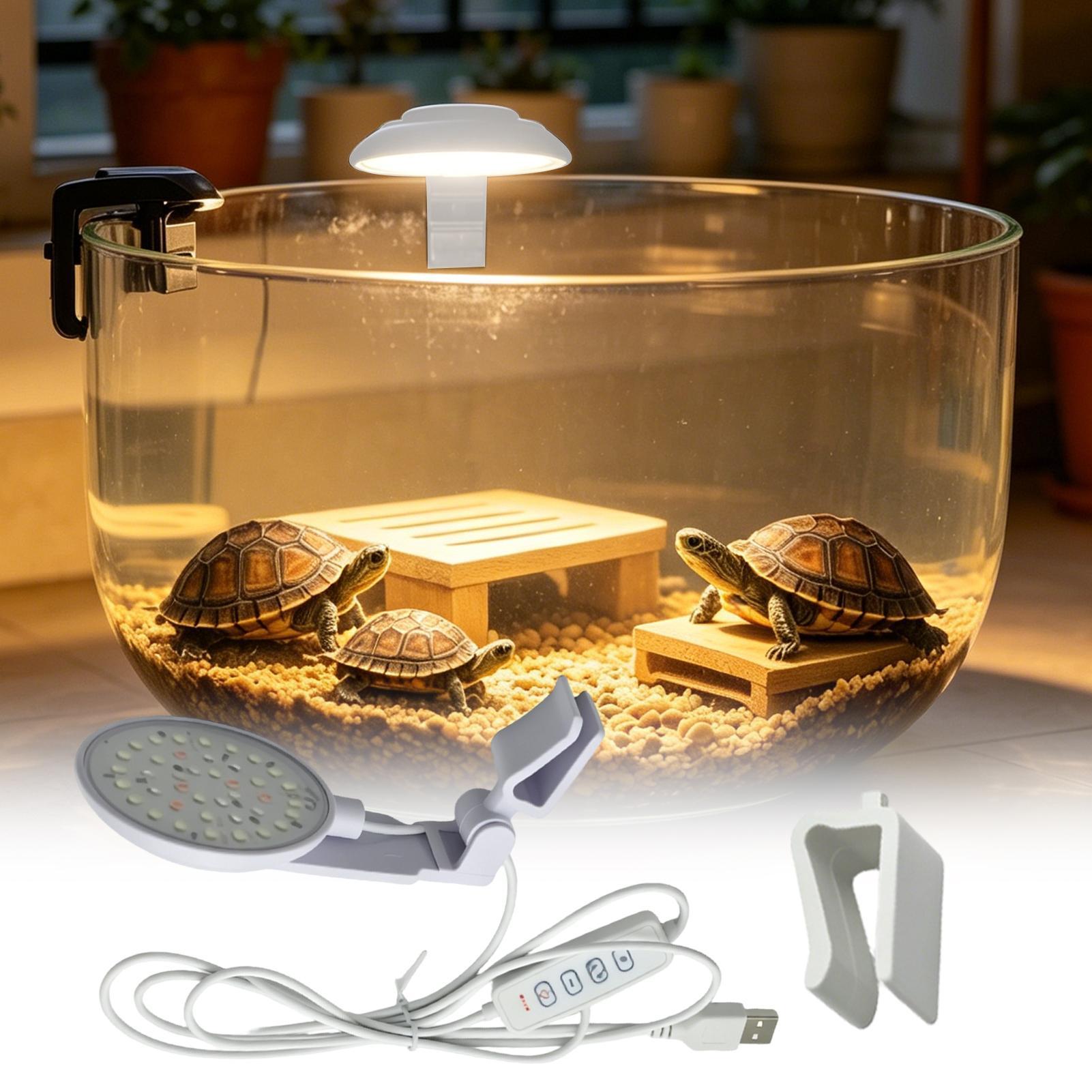 Aquarium Light Waterproof Clam - Aquarium Fish For Beginners ulasan dan harga