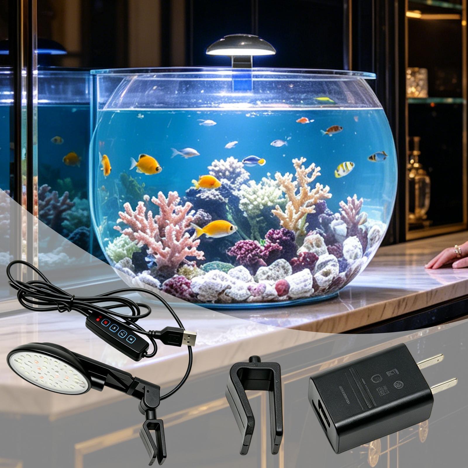 Aquarium Light Waterproof Clam - Aquarium Fish For Beginners ulasan dan harga