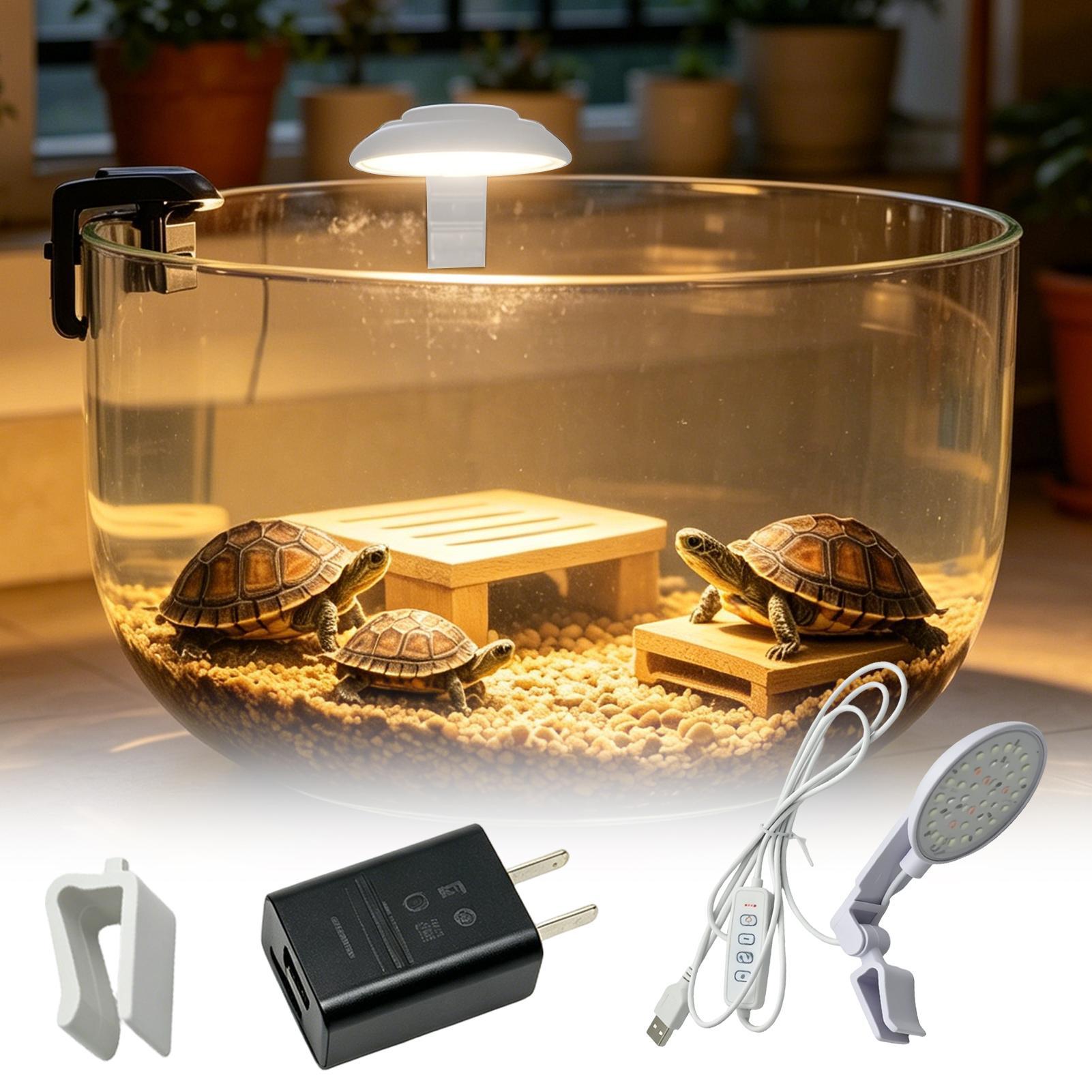 Aquarium Light Waterproof Clam - Aquarium Fish For Beginners ulasan dan harga