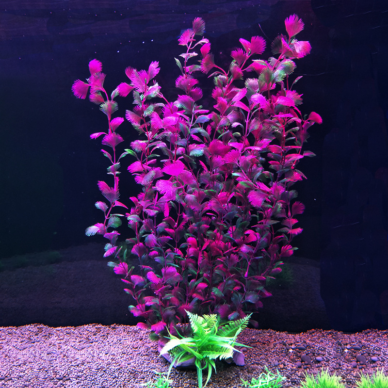52 cm artificial fish tank pla - Aquarium Fish Beautiful ulasan dan harga