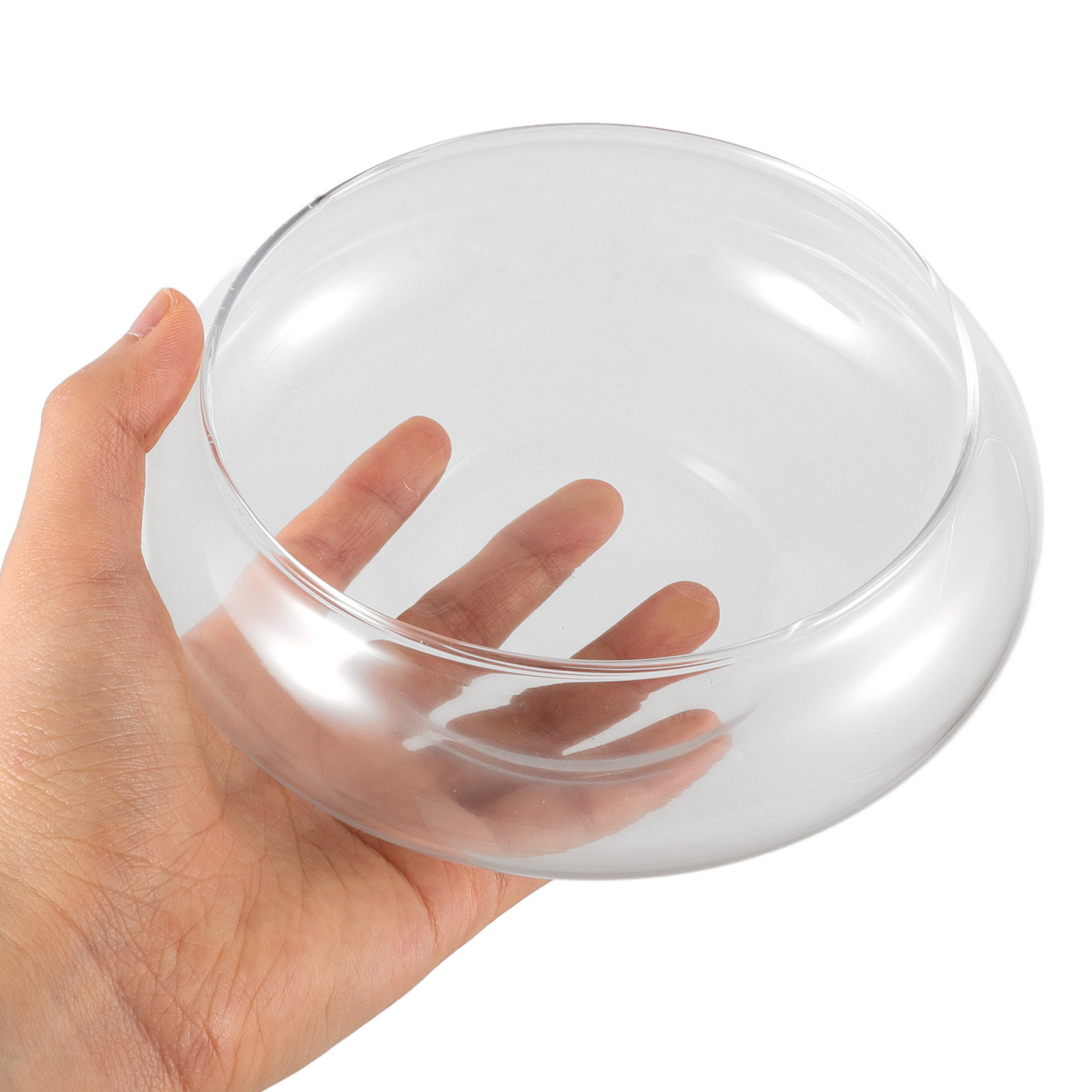 Clear Glass Fish Bowl Round De - Aquarium Fish Goldfish ulasan dan harga