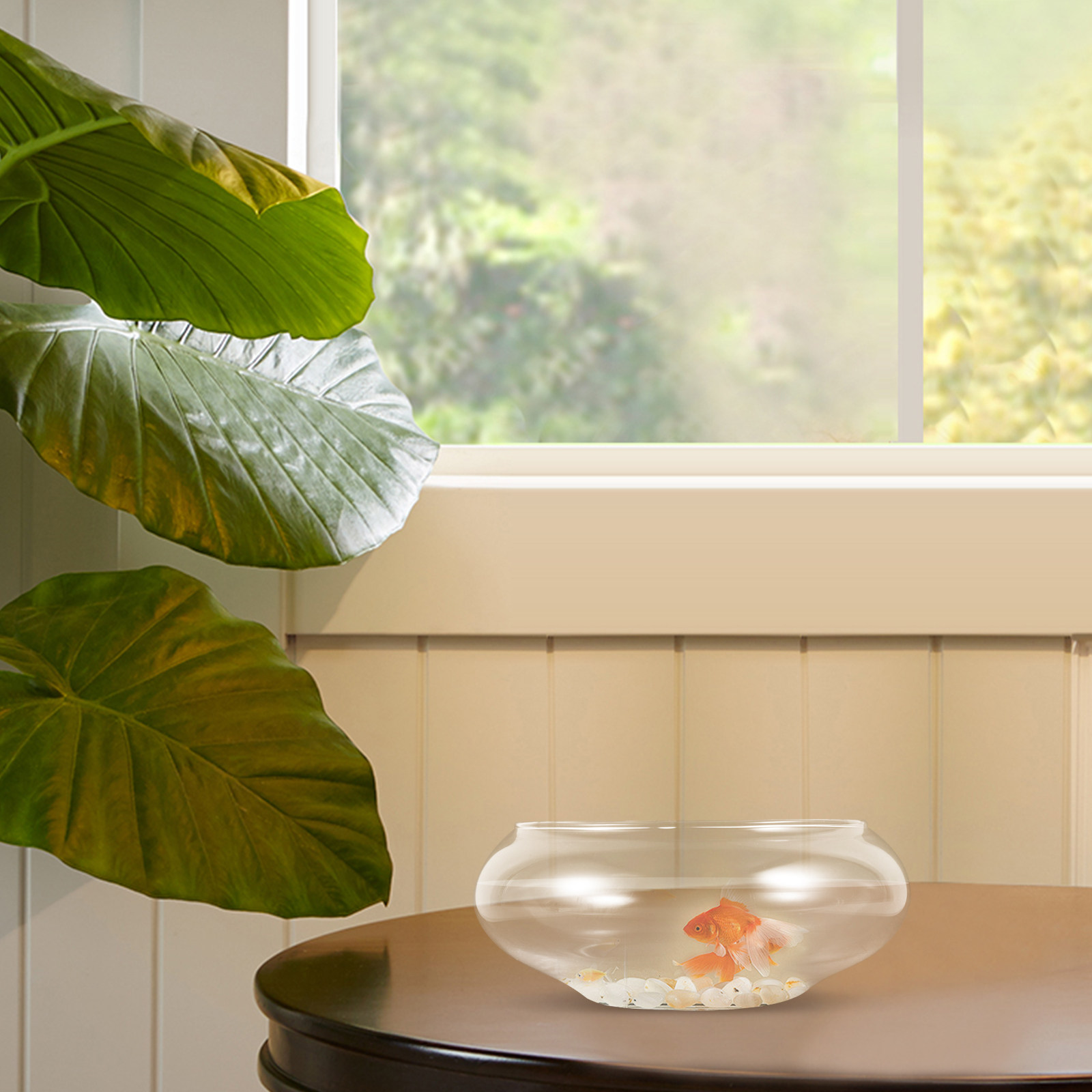 Clear Glass Fish Bowl Round De - Aquarium Fish Goldfish ulasan dan harga