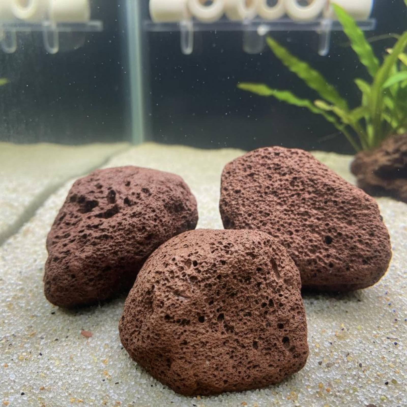 Volcanic Rock Aquarium Landsca - Aquarium Fish Parrot ulasan dan harga