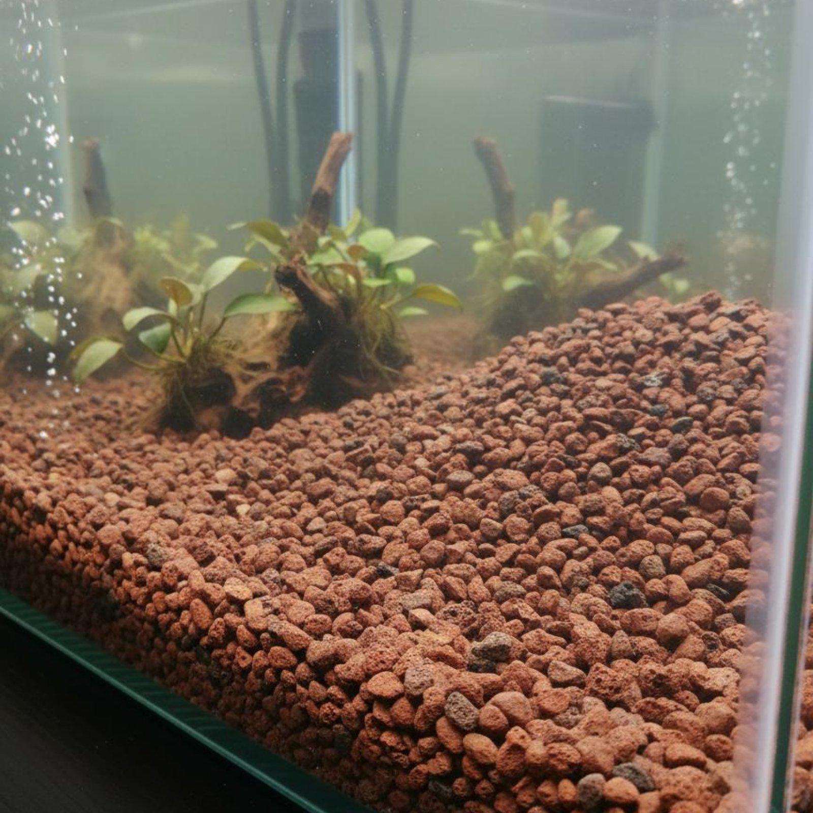 Volcanic Rock Aquarium Landsca - Aquarium Fish Parrot ulasan dan harga