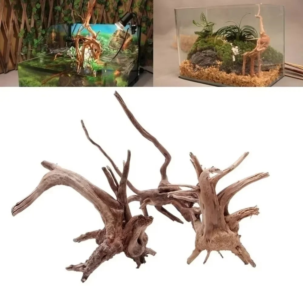15-20CM Natural Driftwood Aqua - Aquarium Fish Types ulasan dan harga