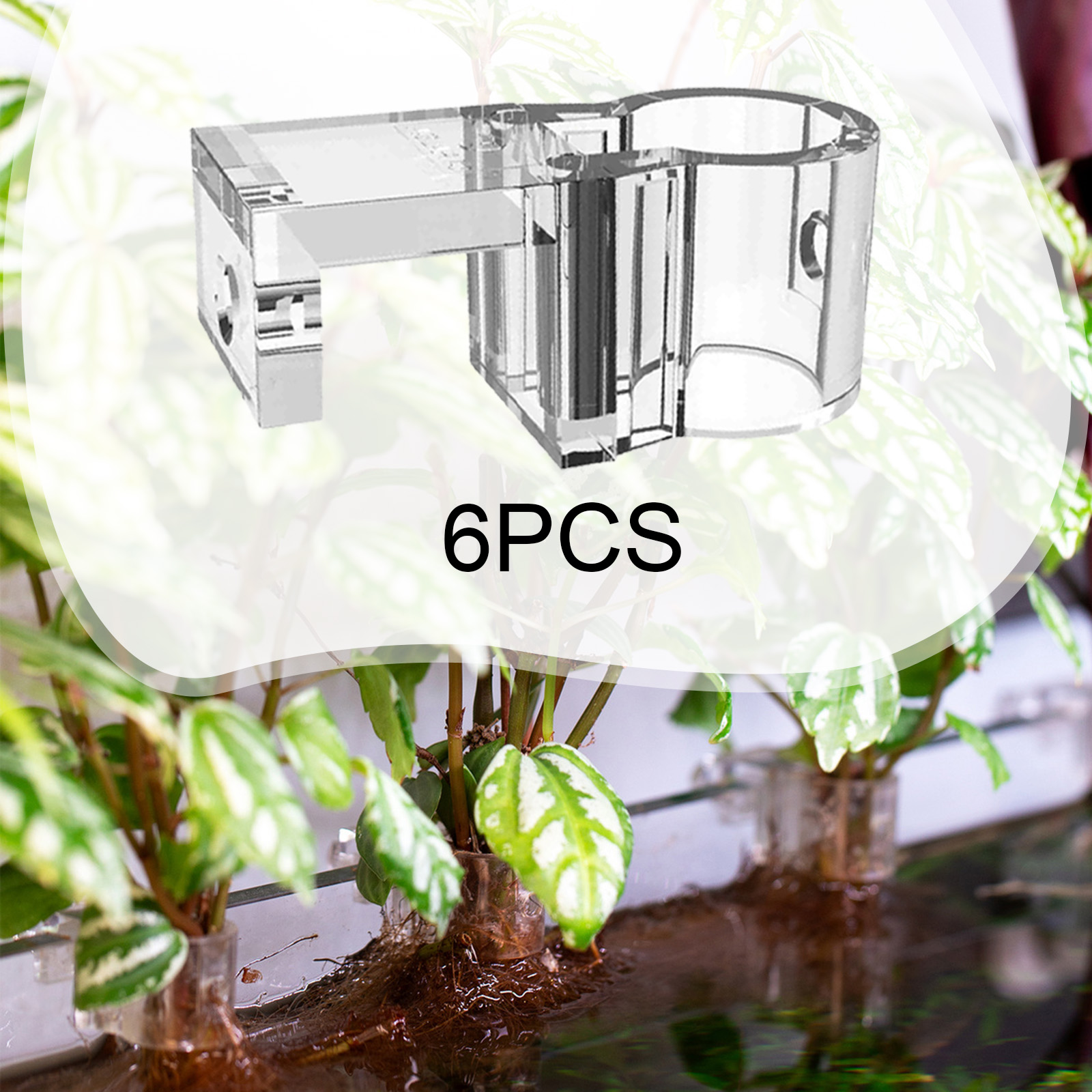 6Pcs Aquarium Plant Holder Sup - Aquarium Fish Elevator ulasan dan harga