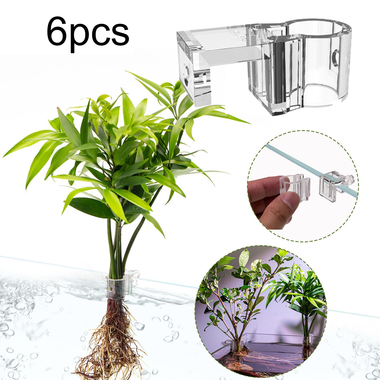 6Pcs Aquarium Plant Holder Sup - Aquarium Fish Elevator ulasan dan harga