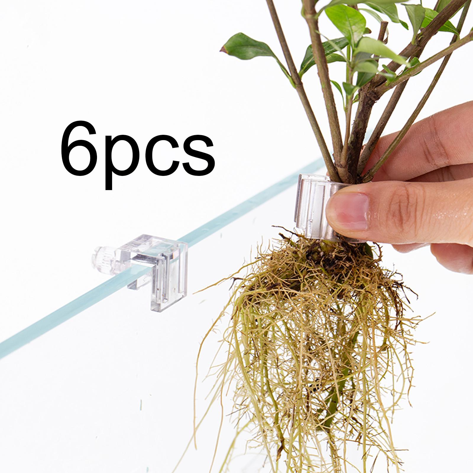 6Pcs Aquarium Plant Holder Sup - Aquarium Fish Elevator ulasan dan harga