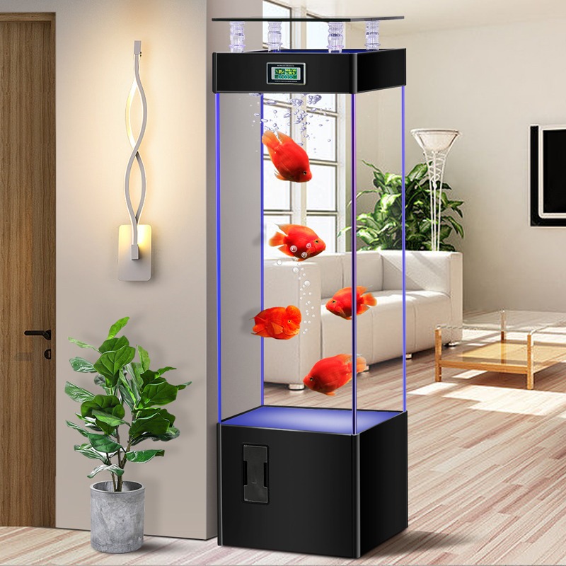 Ultra-clear glass fish tank, n - Aquarium Fish Goldfish ulasan dan harga