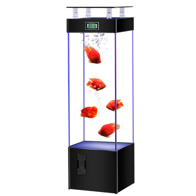 Ultra-clear glass fish tank, n - Aquarium Fish Goldfish ulasan dan harga