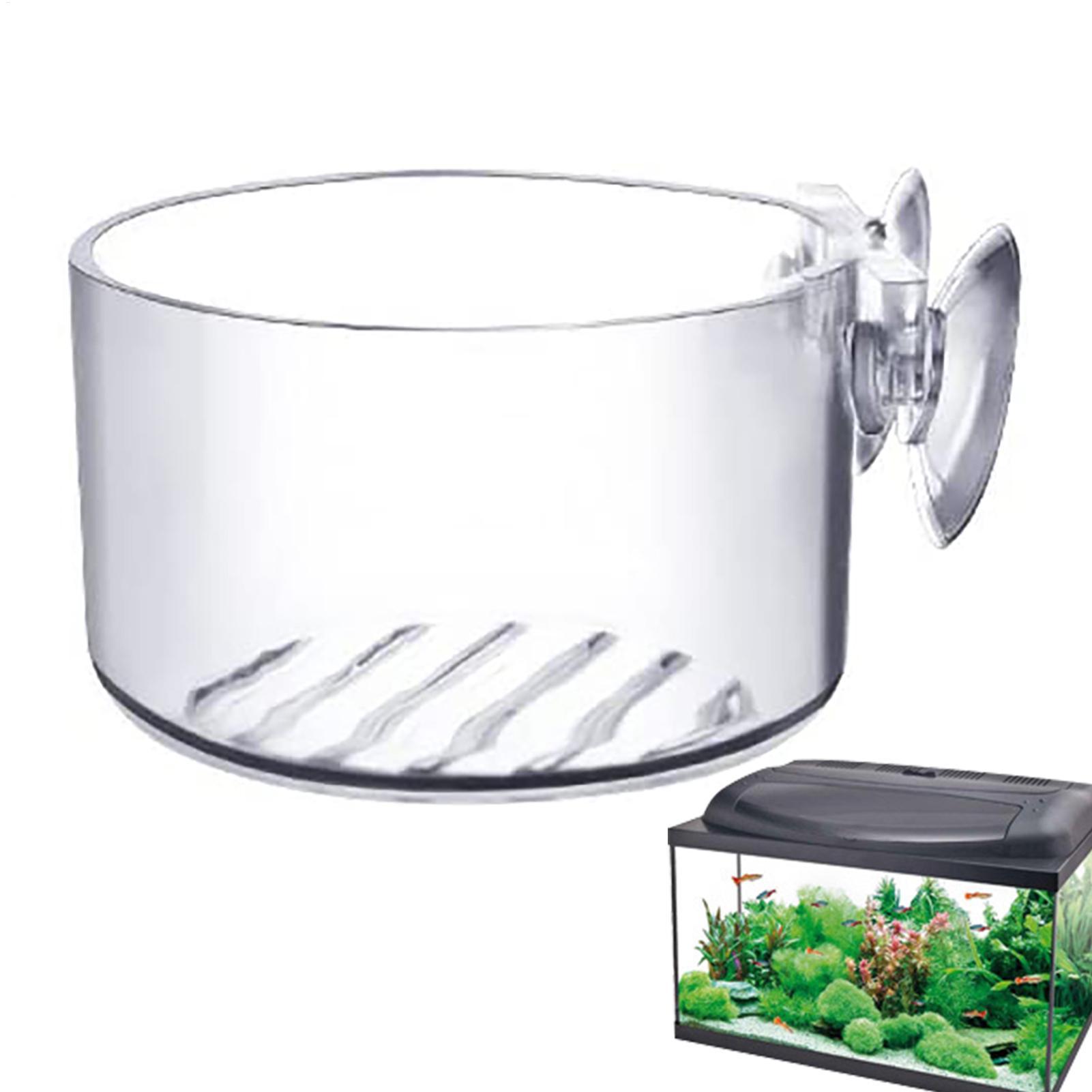 Aquarium Decoration Plant Cup  - Aquarium Fish Beautiful ulasan dan harga