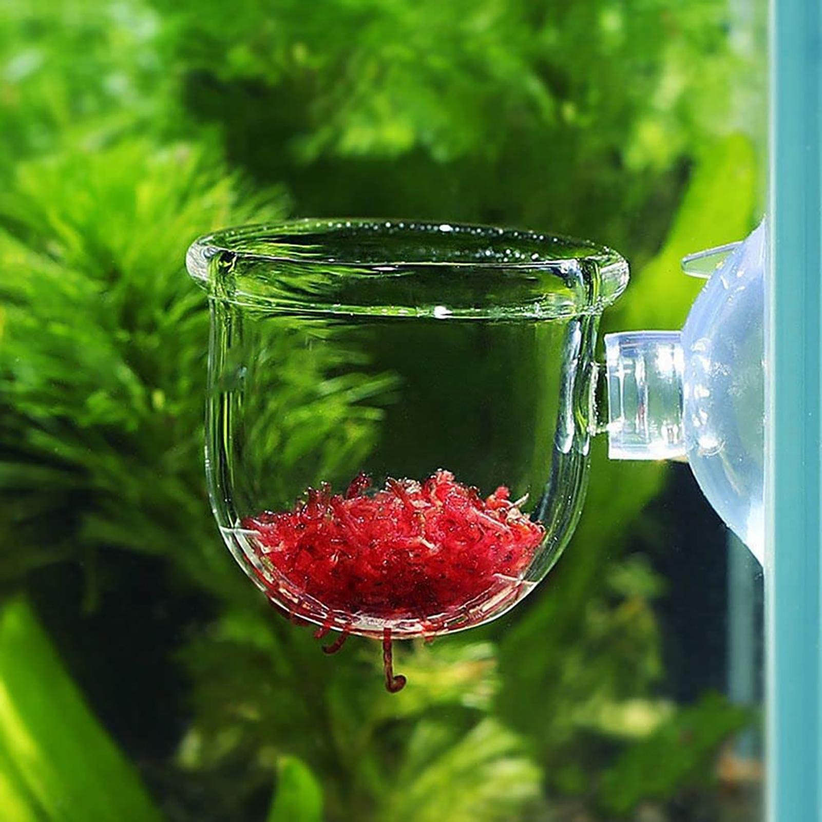 Aquarium Decoration Plant Cup  - Aquarium Fish Beautiful ulasan dan harga