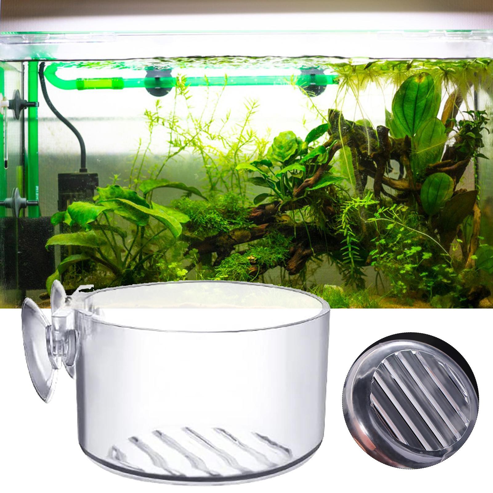 Aquarium Decoration Plant Cup  - Aquarium Fish Beautiful ulasan dan harga