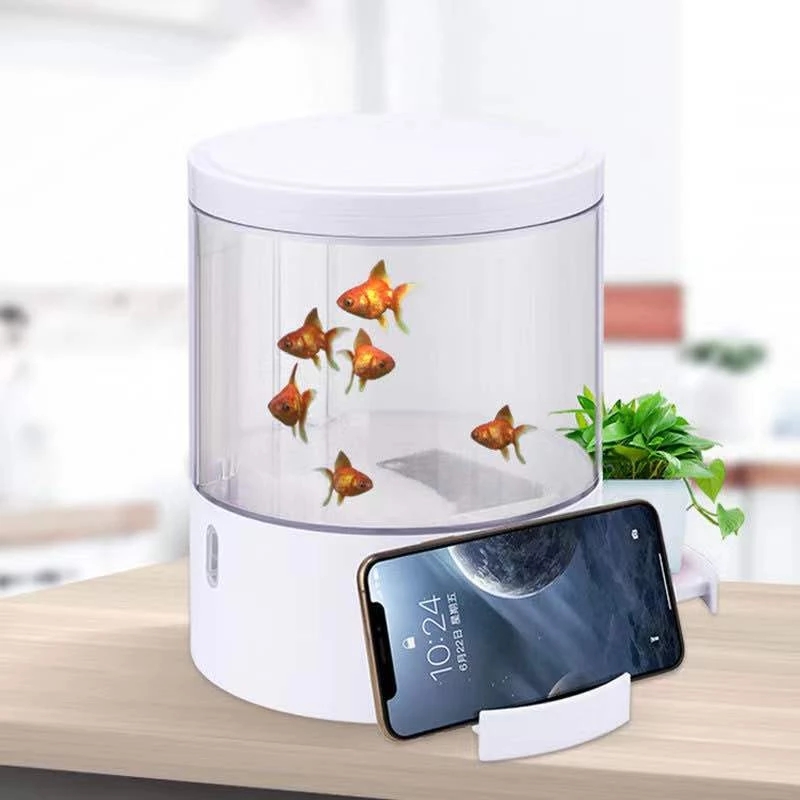 Round colorful lights desktop  - Aquarium Fish Goldfish ulasan dan harga