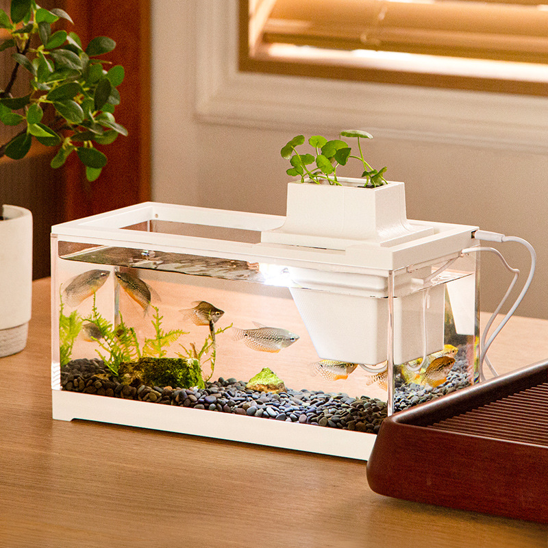 Fish Tank Aquarium Kits with W - Aquarium Fish Goldfish ulasan dan harga