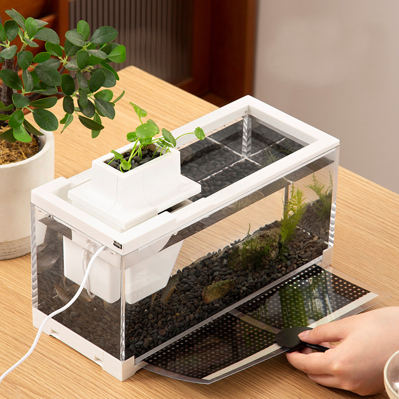Fish Tank Aquarium Kits with W - Aquarium Fish Goldfish ulasan dan harga