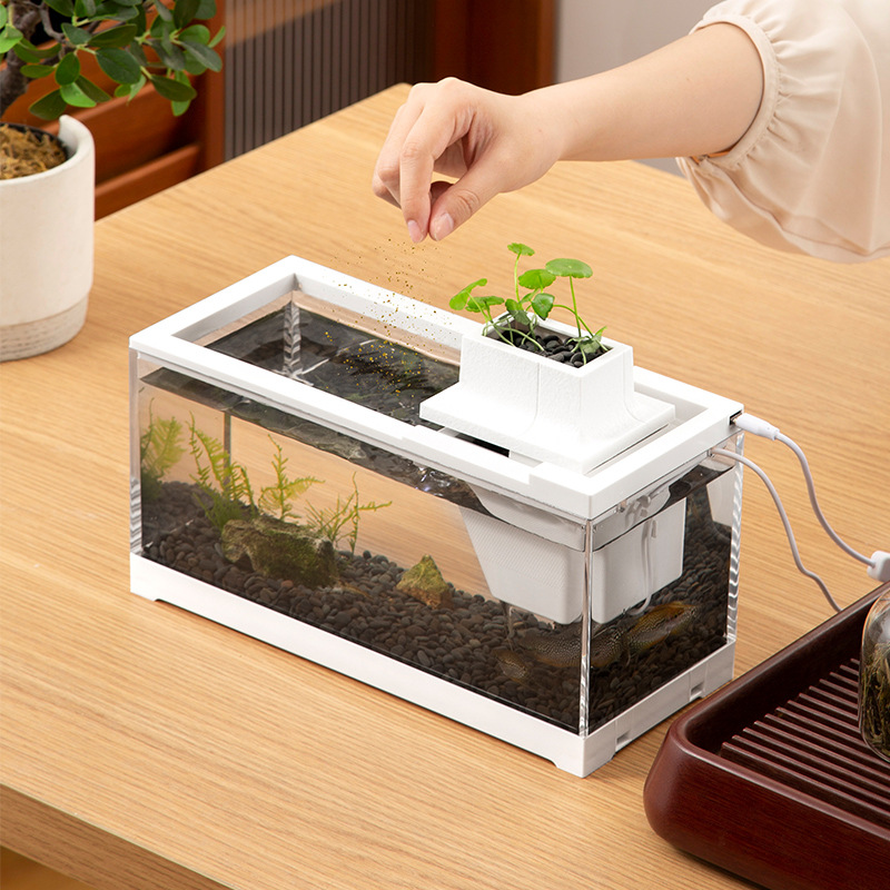 Fish Tank Aquarium Kits with W - Aquarium Fish Goldfish ulasan dan harga