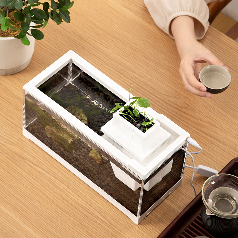 Fish Tank Aquarium Kits with W - Aquarium Fish Goldfish ulasan dan harga