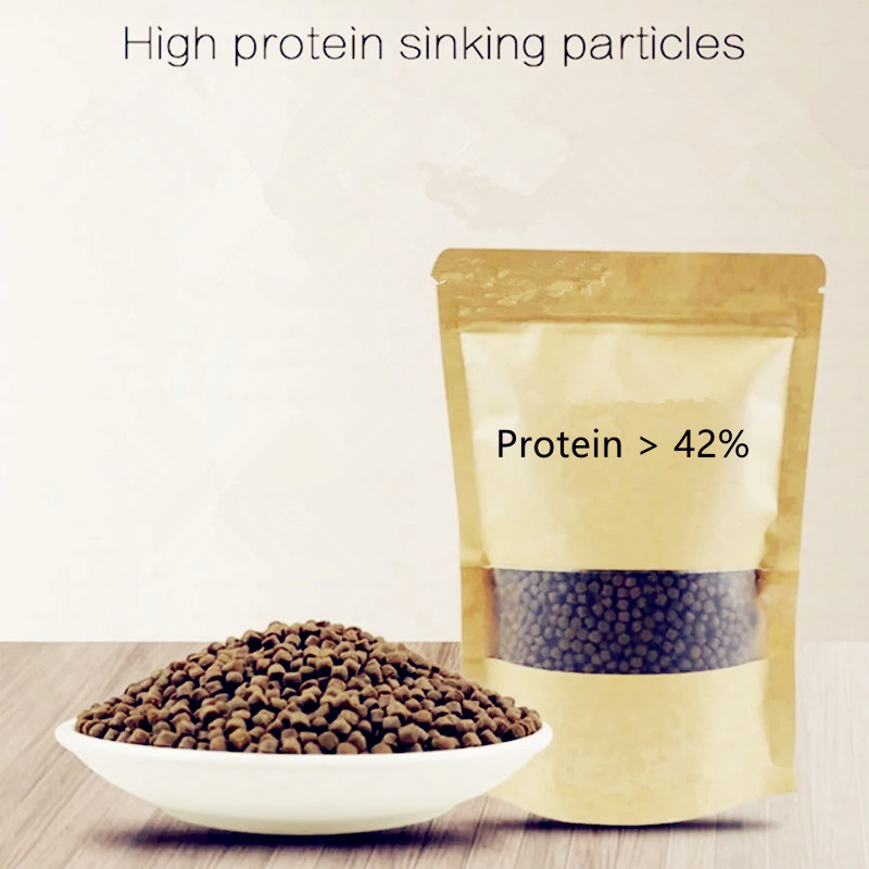 100g  Koi Fish Food Aquarium S - Aquarium Fish Parrot ulasan dan harga