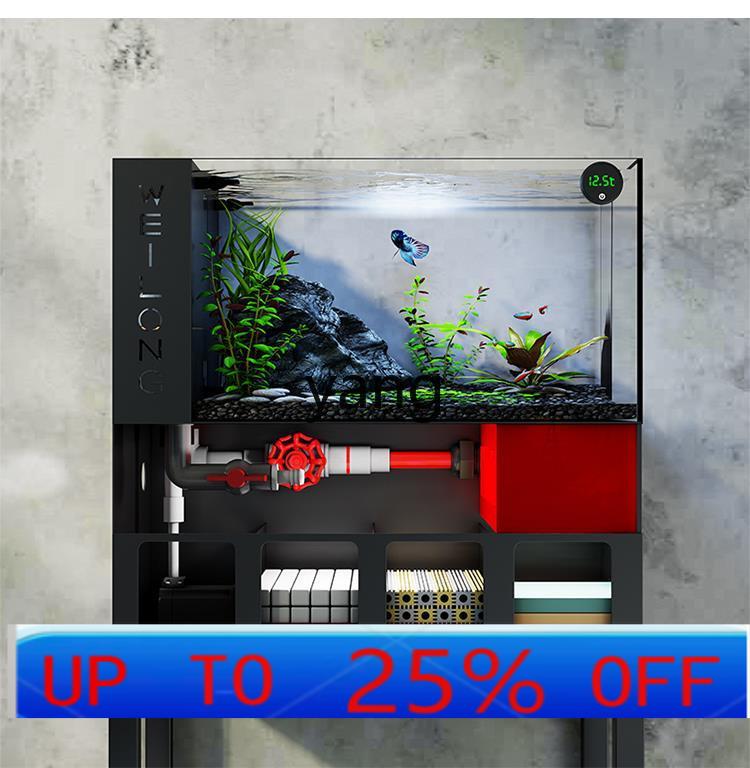 Lhh living room small fish tan - Aquarium Fish Goldfish ulasan dan harga