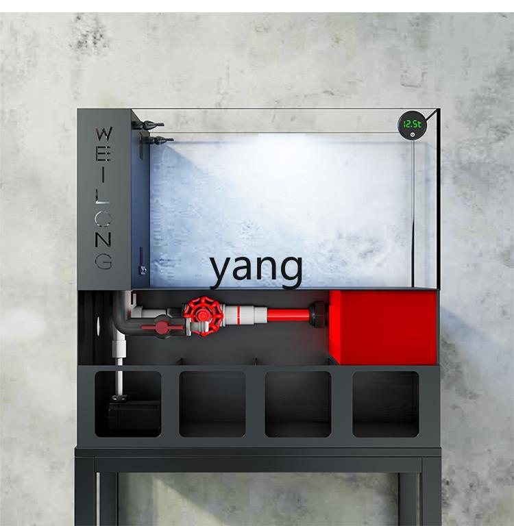 Lhh living room small fish tan - Aquarium Fish Goldfish ulasan dan harga