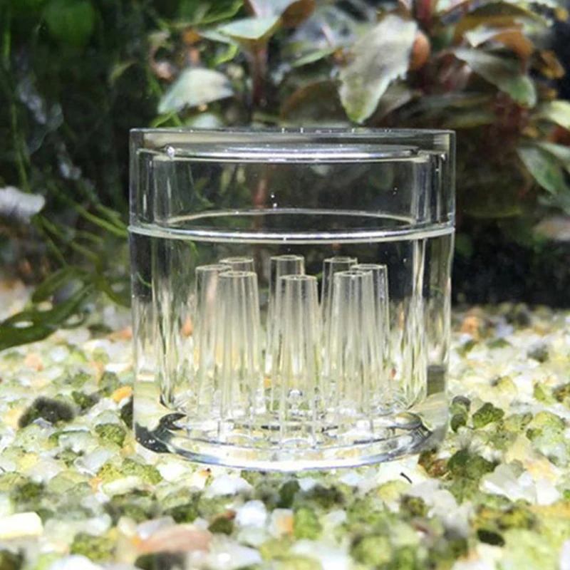 High Transparent  Aquarium Fis - Aquarium Fish Escape ulasan dan harga