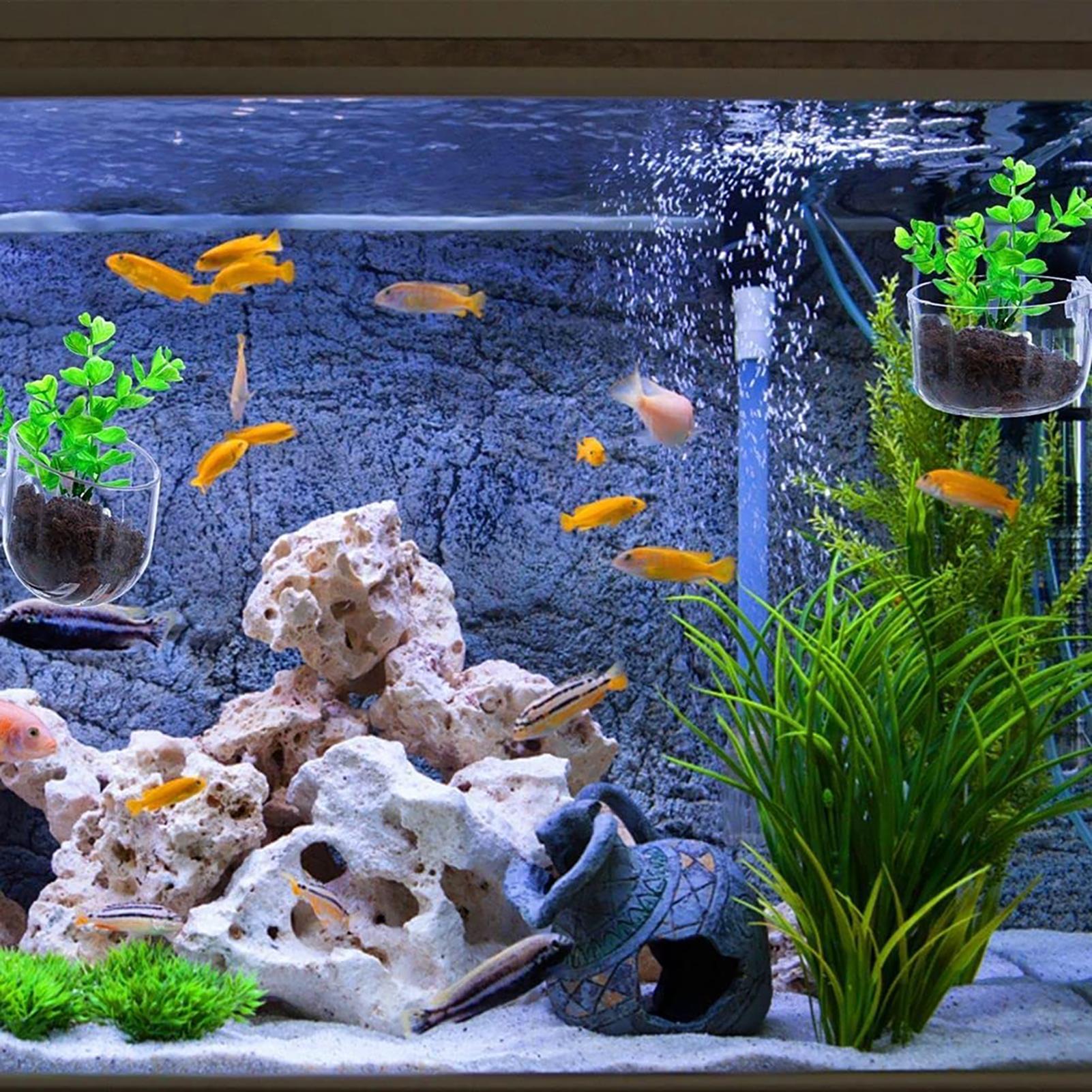 Acrylic Aquarium Plant Pots Aq - Aquarium Fish Beautiful ulasan dan harga