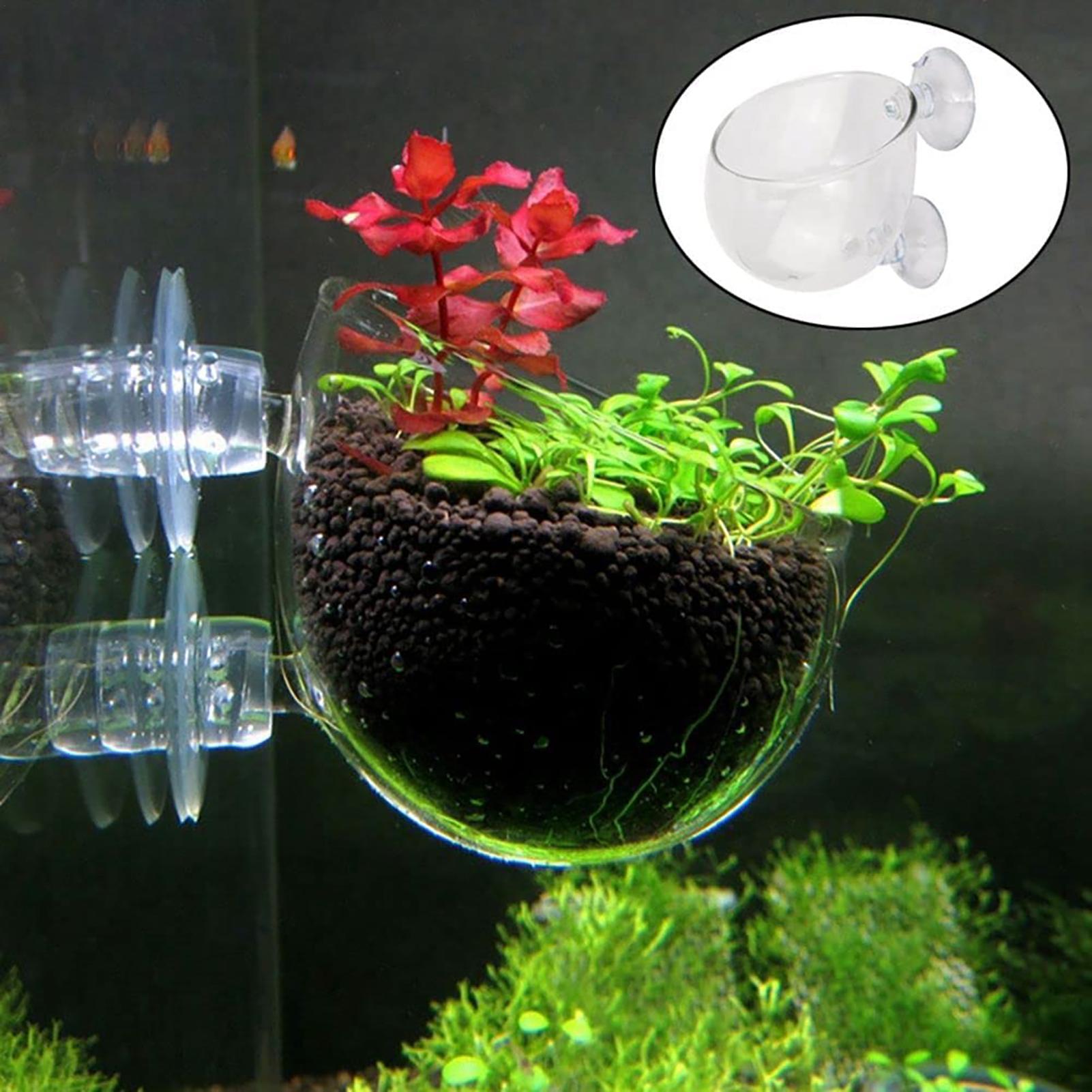 Acrylic Aquarium Plant Pots Aq - Aquarium Fish Beautiful ulasan dan harga